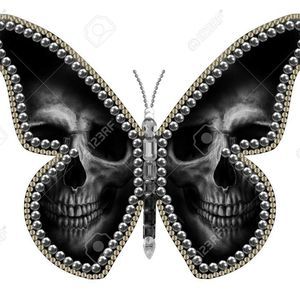 Meet your Posher, Dakota